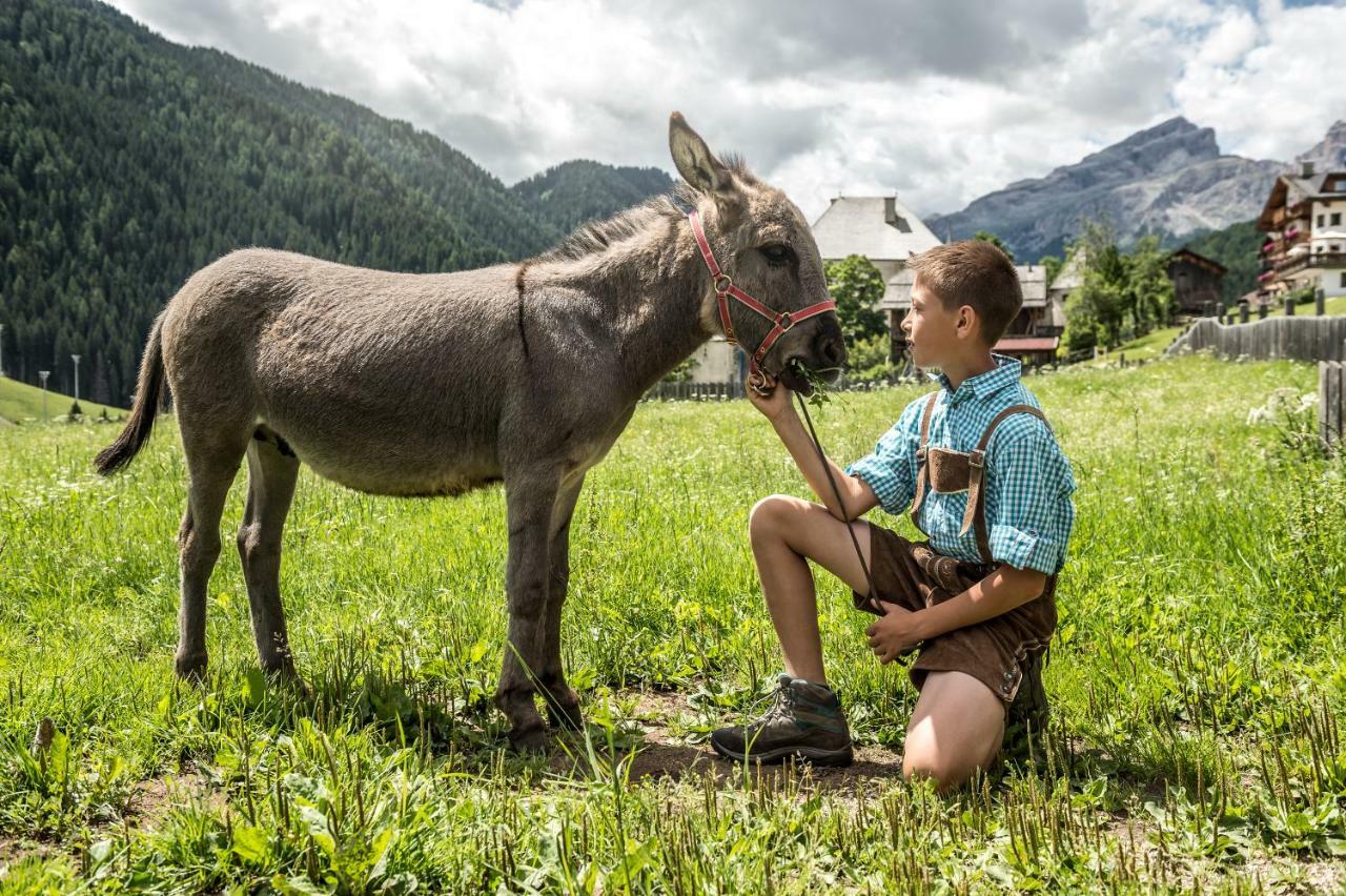 Natur Luch Sossach La Villa  Dış mekan fotoğraf
